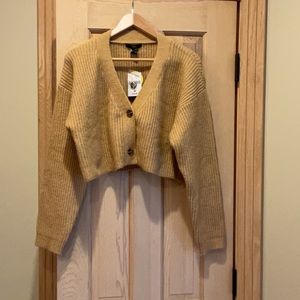 FOREVER 21 - BRAND NEW cropped sweater
